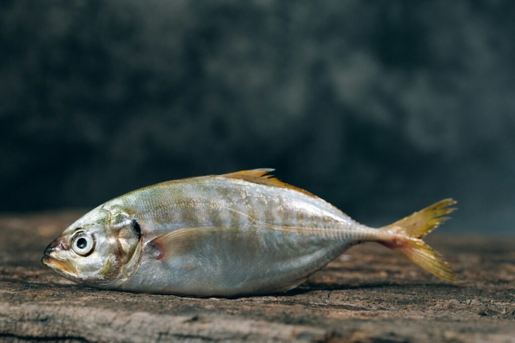 When you see fish in your dream