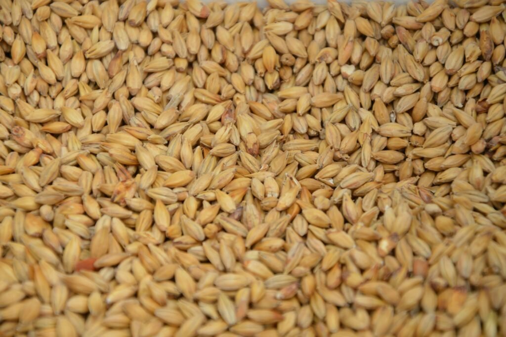 When you see grains in your dream
