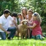hidden family behaviors