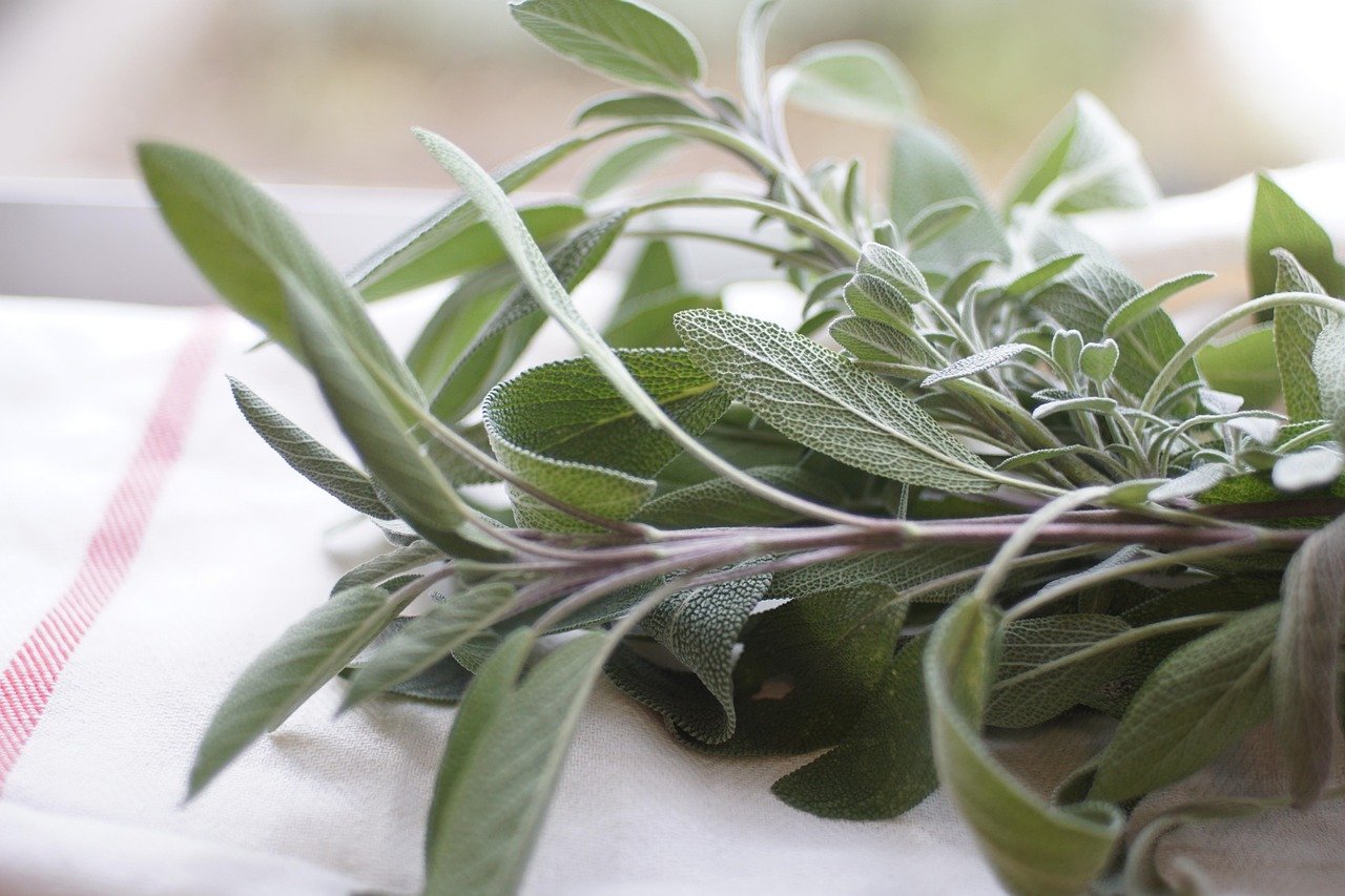 Herbs for Spiritual Protection