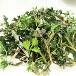 Herbs for Spiritual Protection