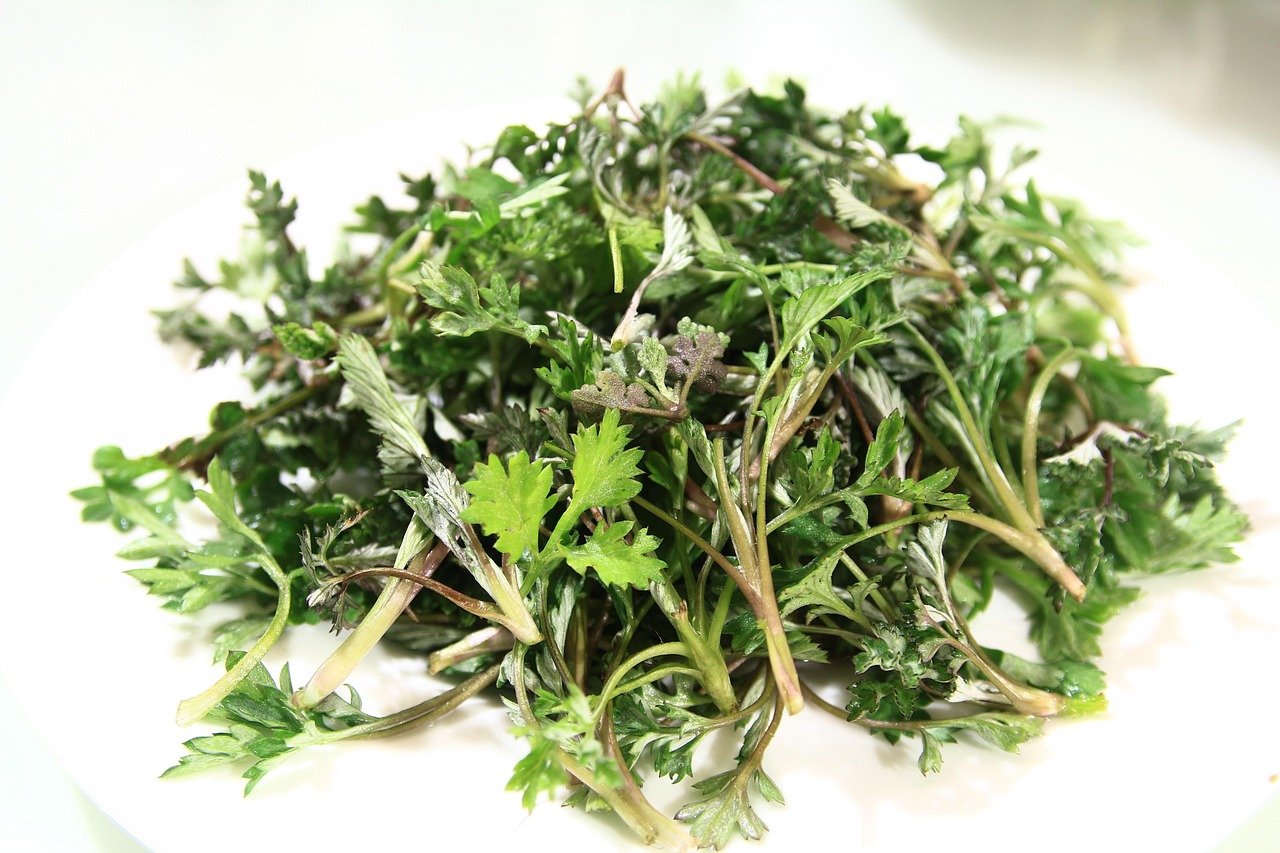 Herbs for Spiritual Protection